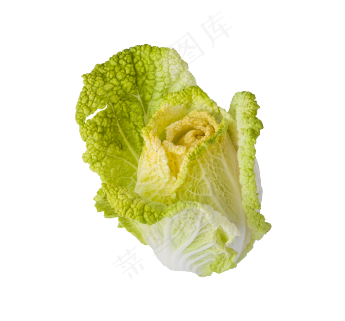 黄芽菜(png免抠）
