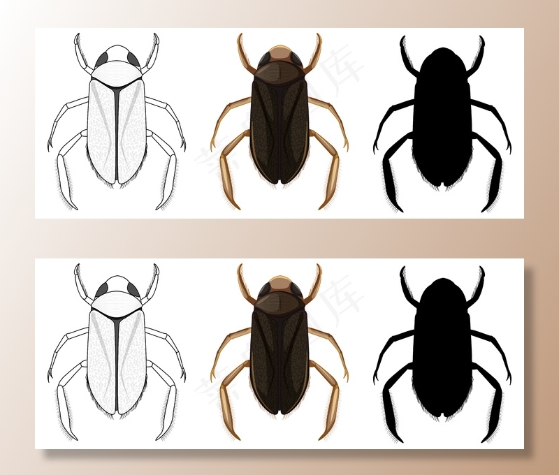 在白色背景上的三种风格的水船夫一套