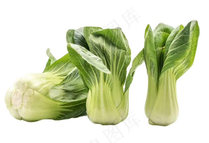 新鲜食材油菜(3000X3000(DPI:300))