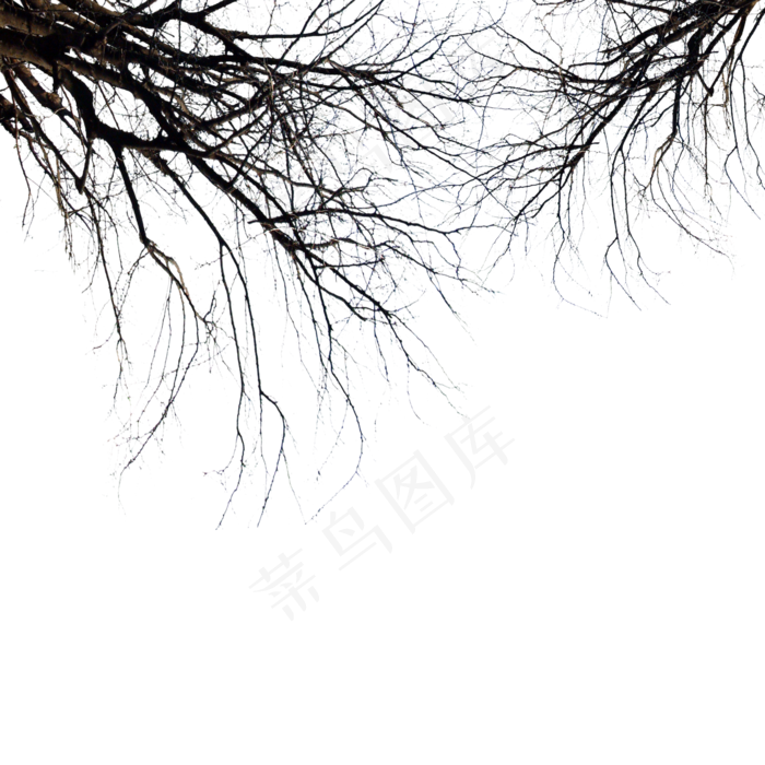 干枯枯树树枝(2000X2000(DPI:300))psd模版下载