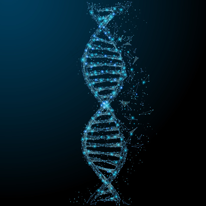 来自飞行碎片细线概念的多边形 dna 概念矢量网格球体eps,ai矢量模版下载