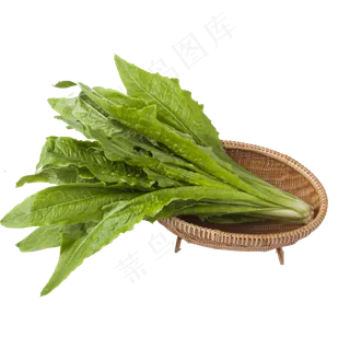 新鲜的白菜免抠图 新鲜的白菜免抠图