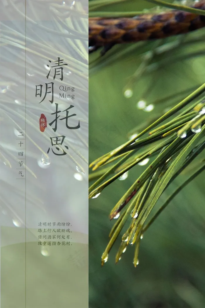清明清明海报