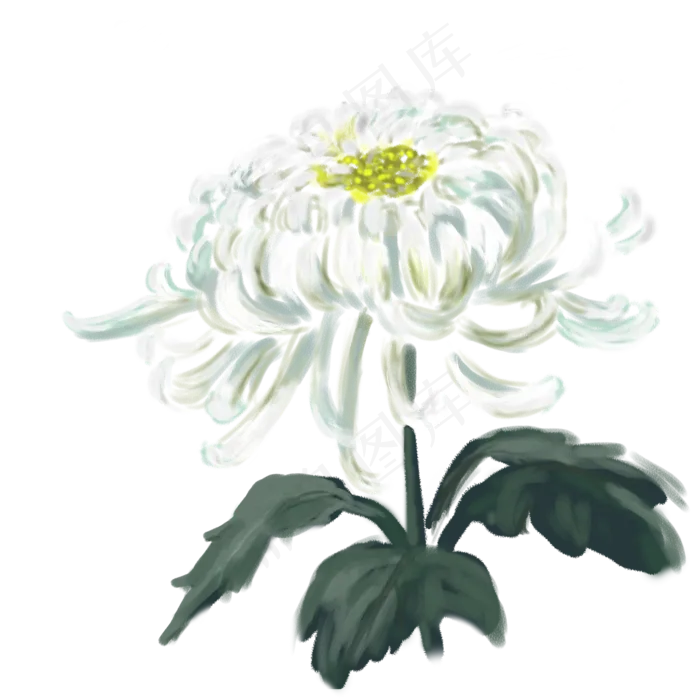 秋季白色手绘唯美菊花(2000X2000(DPI:300))psd模版下载