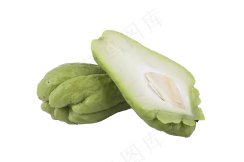 两个农家种植的佛手瓜