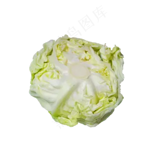 浅绿色包菜 浅绿色包菜