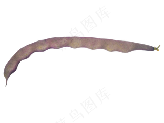 深红色蔬菜豆角