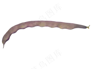 深红色蔬菜豆角