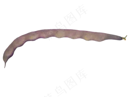 深红色蔬菜豆角 深红色蔬菜豆角