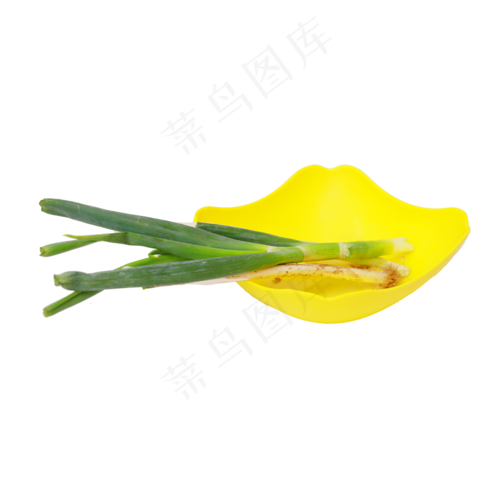 几颗大葱(2188X1953(DPI:300))