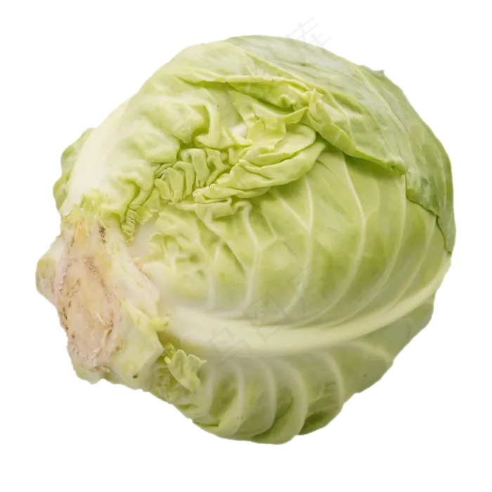 绿色包菜蔬菜(2500X3140(DPI:300))