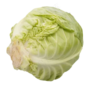 绿色包菜蔬菜