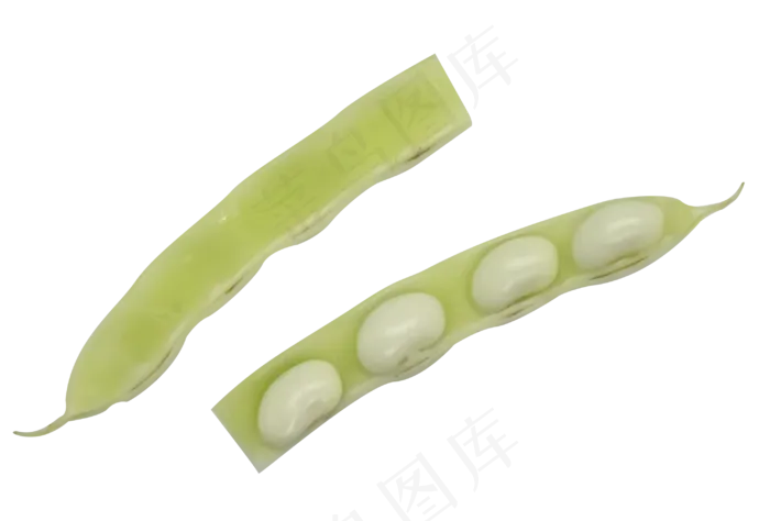 蔬菜长豆角(2952*2000px 300 dpi )