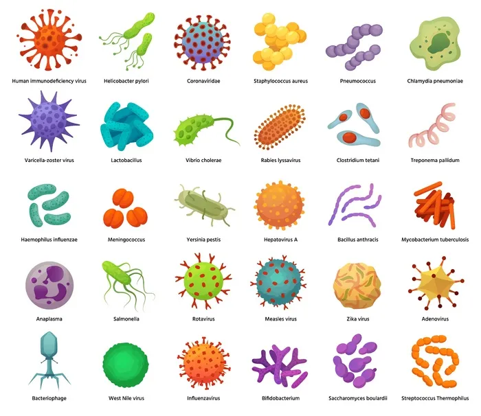 细菌和病毒图标。致病细菌、病毒和微生物。