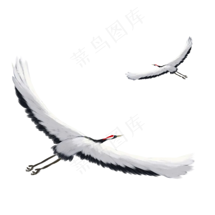 手绘中国风飞翔的仙鹤元素(2000X2000(DPI:300))psd模版下载