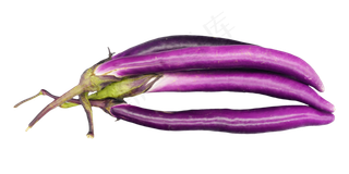 果蔬蔬菜茄子