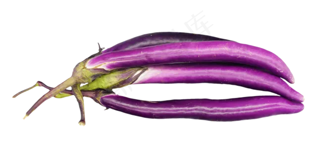 果蔬蔬菜茄子 果蔬蔬菜茄子