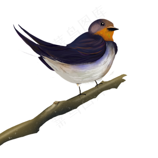 清明节燕子通用装饰素材下载