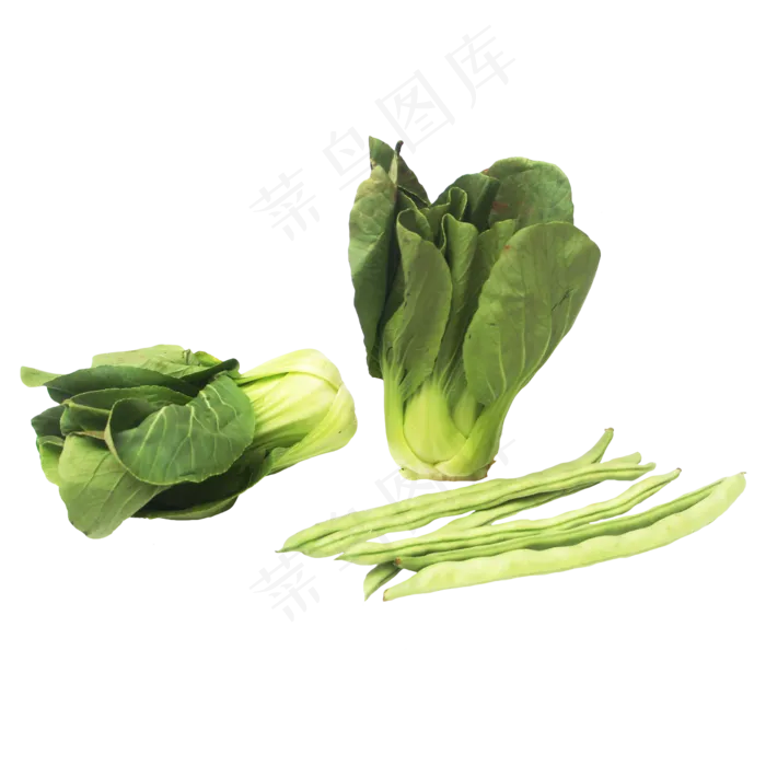 小油菜上海青豆角(2000X2000(DPI:300))
