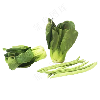 小油菜上海青豆角