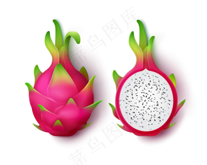 矢量整体和切片生动的粉红色龙果隔离在白色背景上eps,ai矢量模版下载