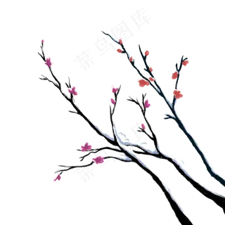 冬季大雪梅花枝头