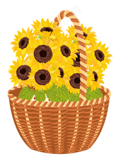 矢量手绘菊花花篮PNG免费下载