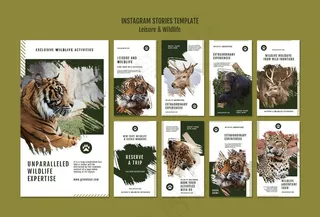 休闲和野生动物社交媒体故事