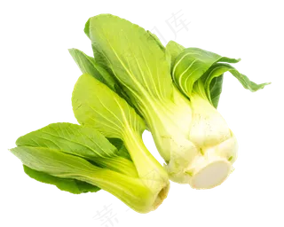 新鲜蔬菜油菜