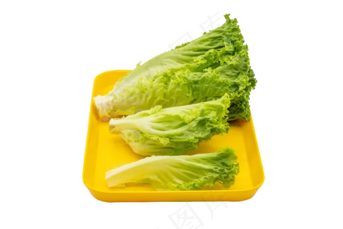黄色盘子生菜(3000X3000(DPI:300))