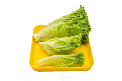 黄色盘子生菜 黄色盘子生菜