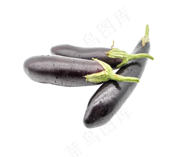 紫色长茄子食材