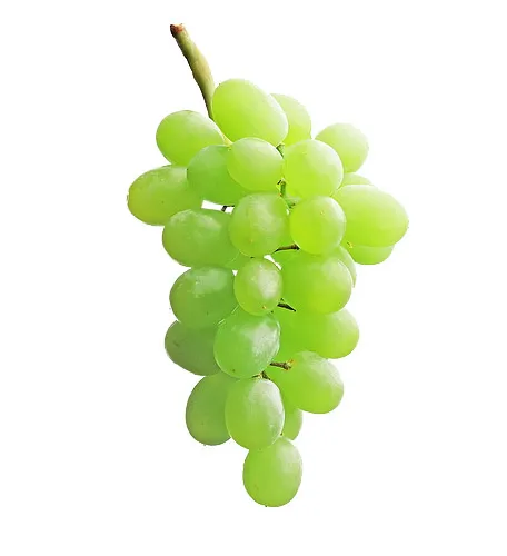 提子 葡萄 水果psd模版下载