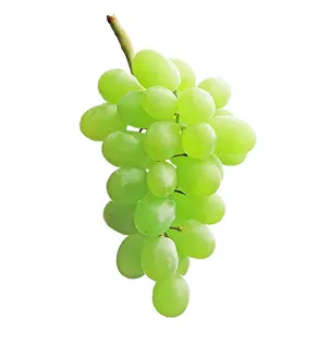 提子 葡萄 水果