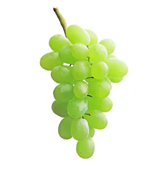 提子 葡萄 水果