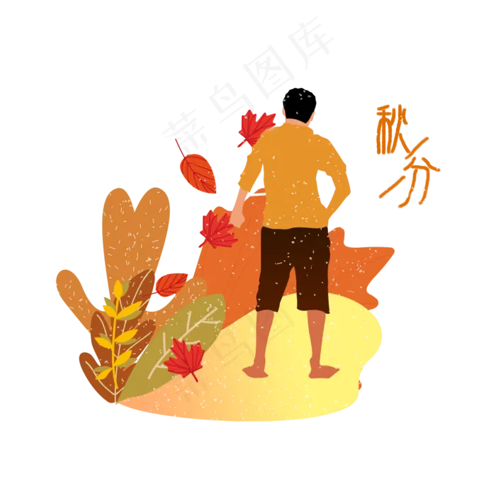 秋分手绘传统节气时尚枫叶植物(2000X2000(DPI:300))psd模版下载