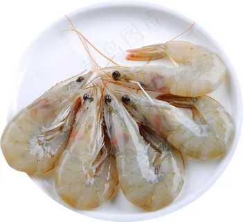 小龙虾 龙虾 小龙虾 龙虾