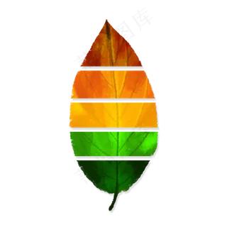 二十四节气秋分