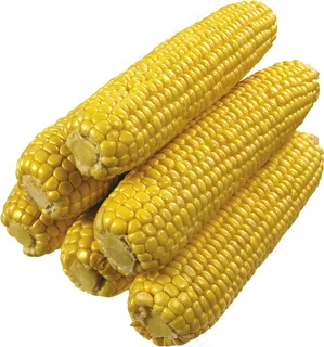 玉米 蔬菜 玉米 蔬菜