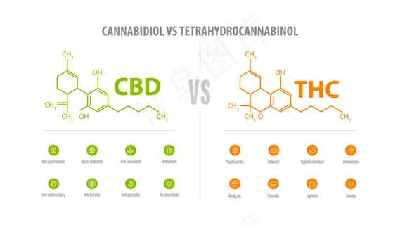Cbd与thc，图标和化学公式的差异列表