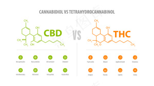Cbd与thc，图标和化学公式的差异列表
