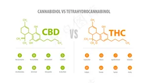 Cbd与thc，图标和化学公式的差异列表