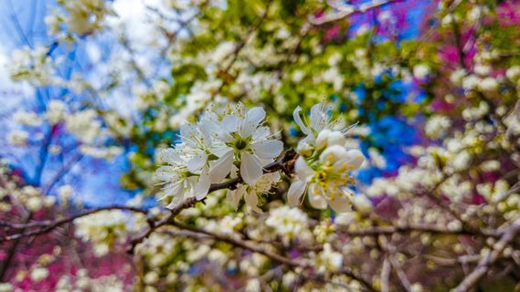 福州国家森林公园