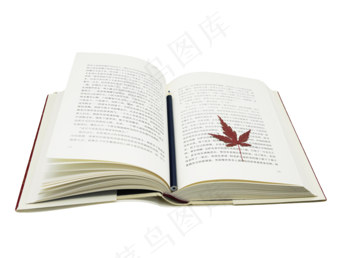 打开书本枫叶叶子