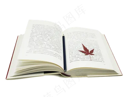打开书本枫叶叶子