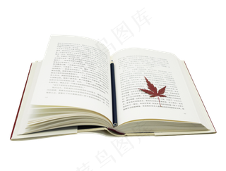 打开书本枫叶叶子