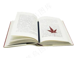 打开书本枫叶叶子