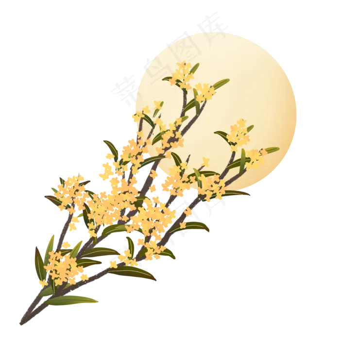 秋天桂花通用素材手绘(2000X2000(DPI:300))psd模版下载