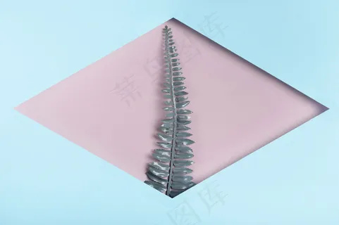 蓝色菱形框叶