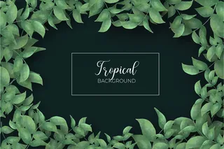 热带树叶框架背景